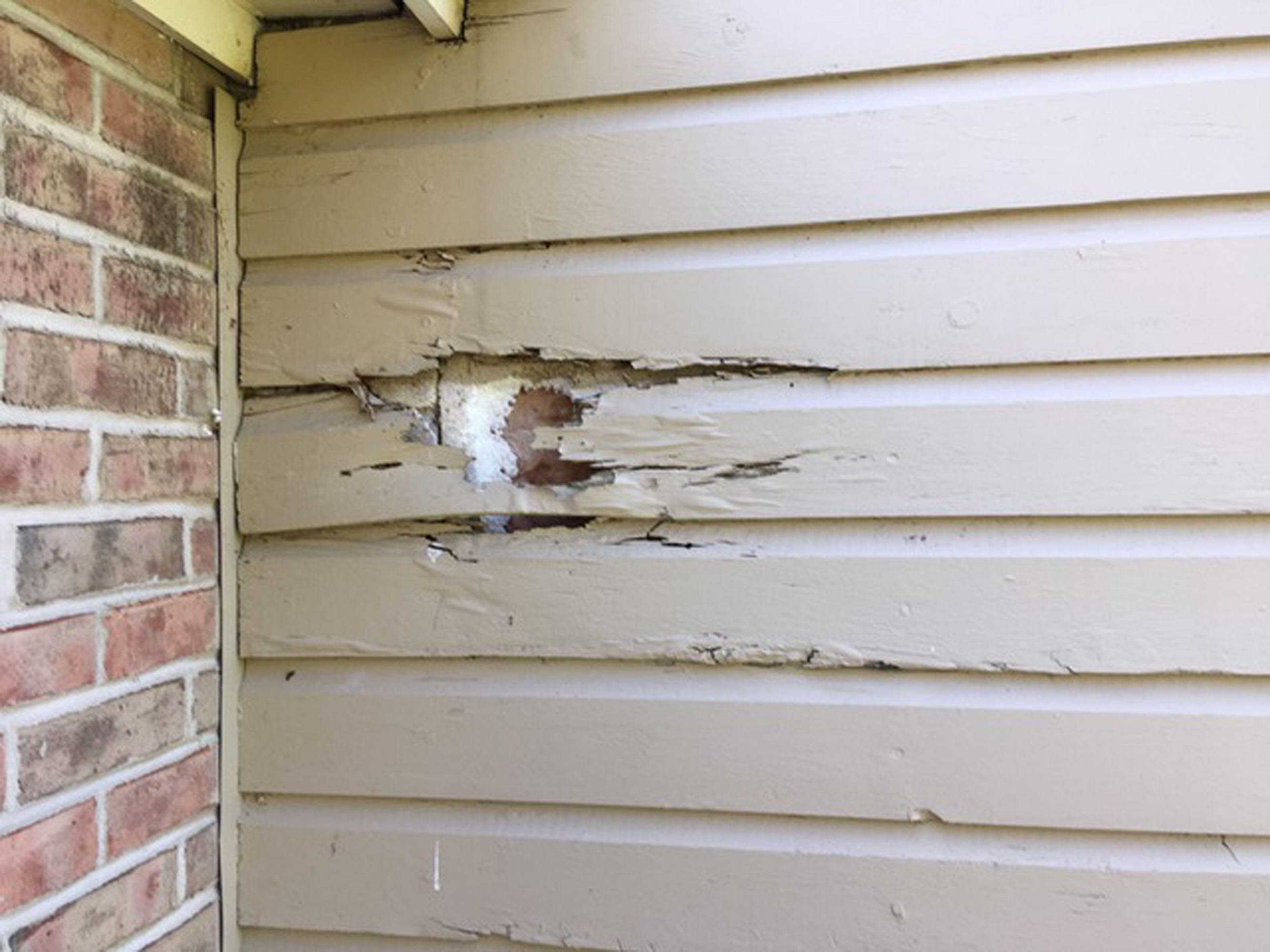 Siding damage